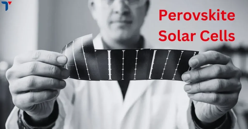 Perovskite Solar Cells